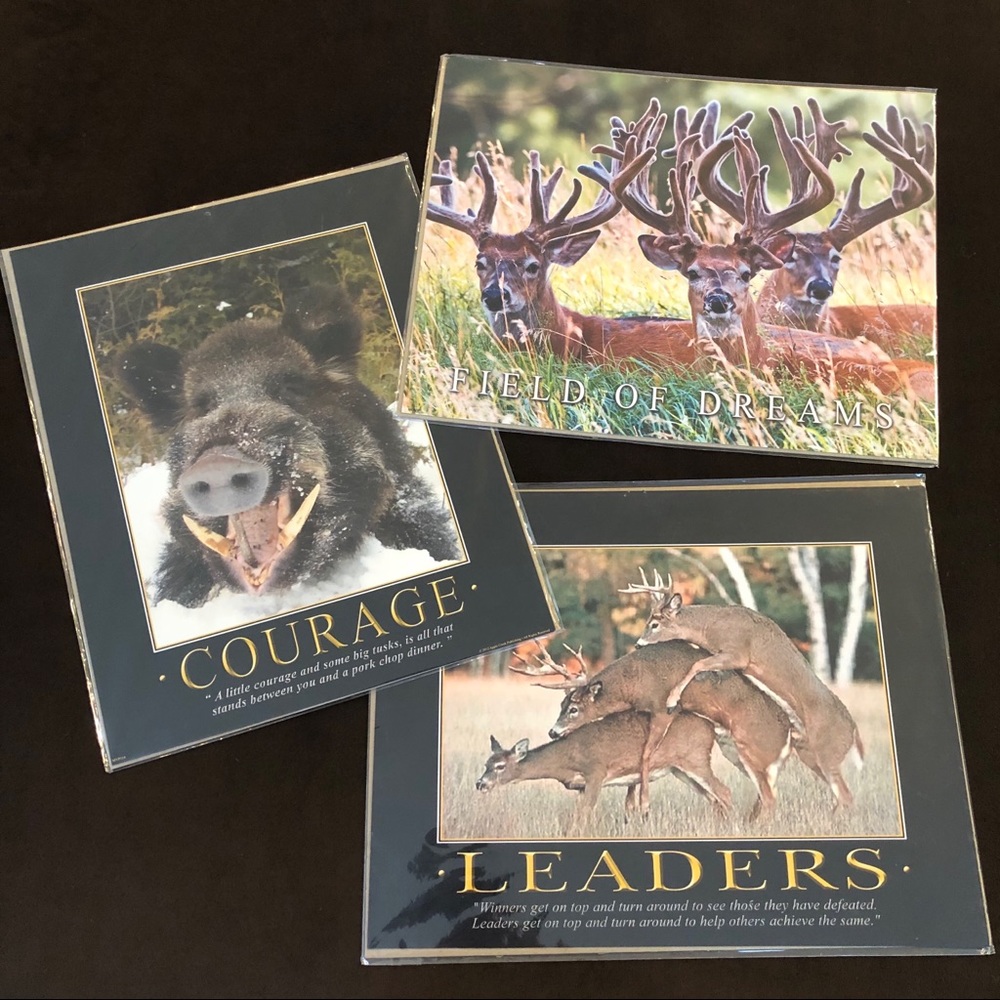NEW! Three Hunting Bass Pro Shop Wall Art Prints